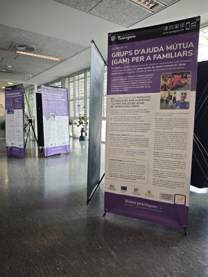 Exposició "Bones pràctiques del Consell Municipal de la Discapacitat"